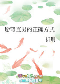 掰弯直男的正确方式下载